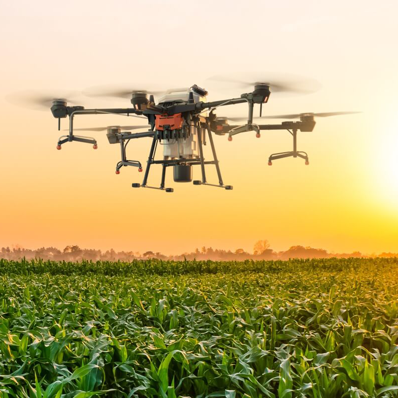 DJI Agriculture en campo