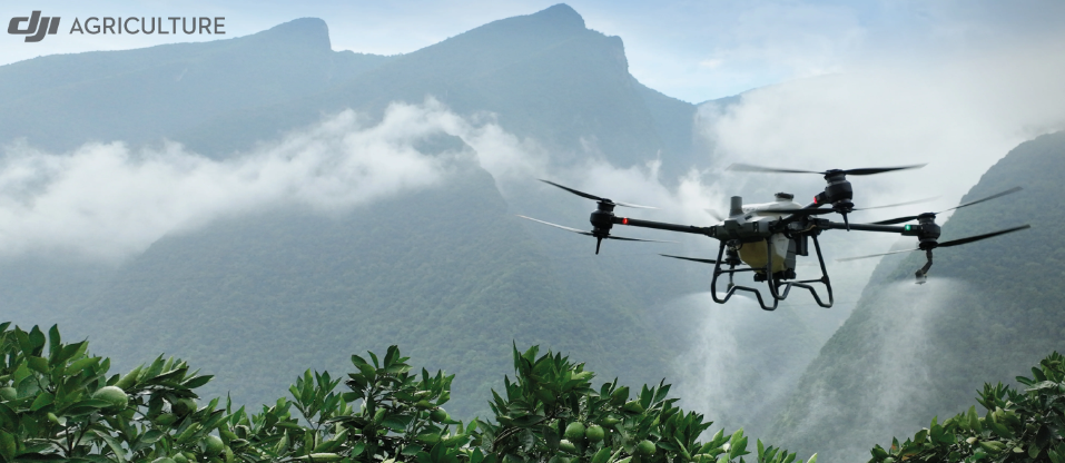 Inspección y seguridad